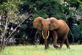 ECC Discovery & Luang Prabang in-depth